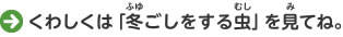 くわしくは「冬ごしをする虫」を見てね。