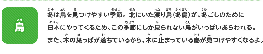 いきものの冬のすがたを調べよう 鳥