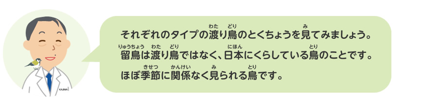 渡り鳥をさがしてみよう