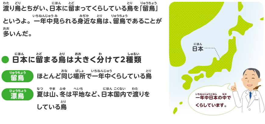 渡り鳥をさがしてみよう