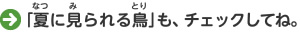 「夏に見られる鳥」も、チェックしてね。
