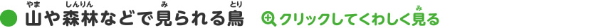 山や森林などで見られる鳥