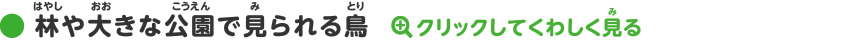 林や大きな公園で見られる鳥