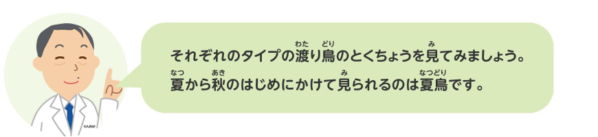 渡り鳥をさがしてみよう