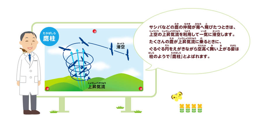 渡り鳥をさがしてみよう