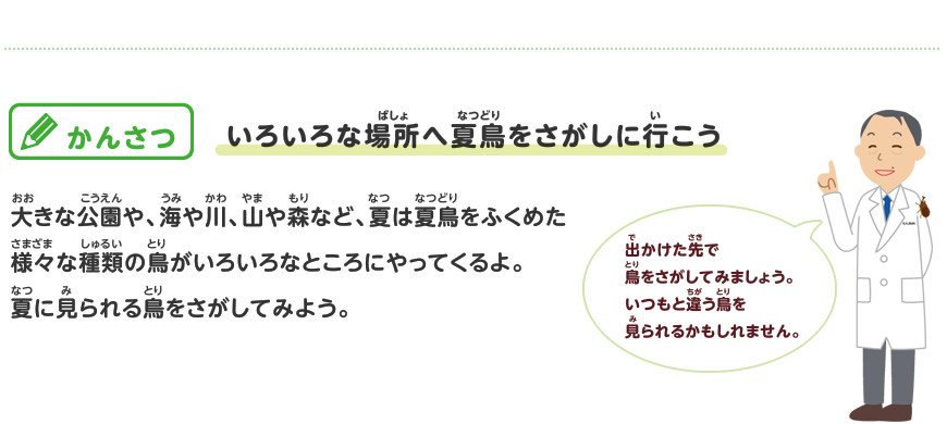 渡り鳥をさがしてみよう