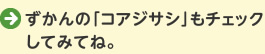 ずかんの「コアジサシ」もチェックしてみてね。