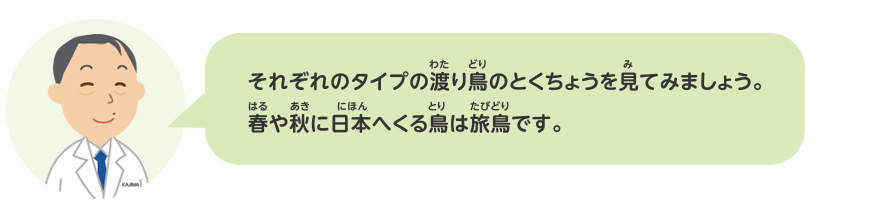 渡り鳥をさがしてみよう