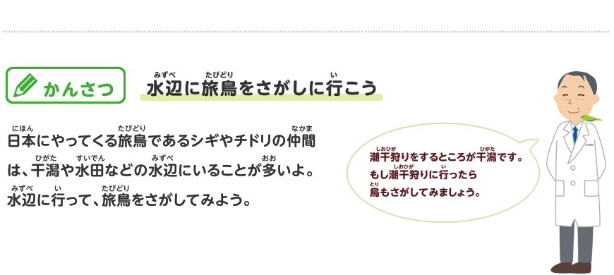 渡り鳥をさがしてみよう