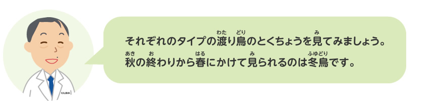 渡り鳥をさがしてみよう