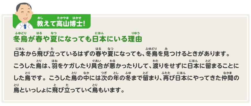 渡り鳥をさがしてみよう