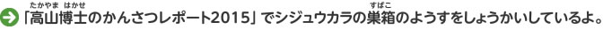 「高山博士のかんさつレポート2015」でシジュウカラの巣箱のようすをしょうかいしているよ。