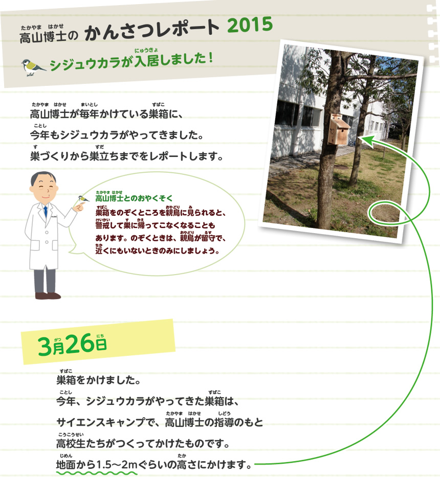 高山博士のかんさつレポート2015 シジュウカラが入居しました！