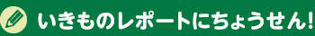 いきものレポートにちょうせん！