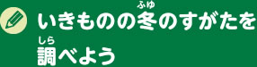 いきものの冬のすがたを調べよう