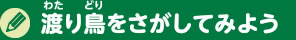 渡り鳥をさがしにいこう