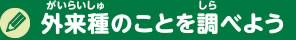 外来種のことを調べよう