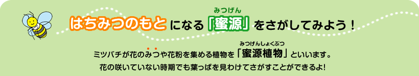 はちみつのもとになる「蜜源」をさがしてみよう！