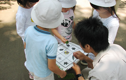 photo: Japanese Honeybee Project