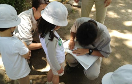 photo: Japanese Honeybee Project