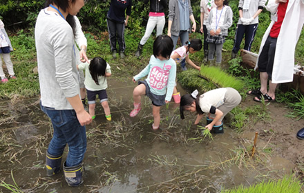 写真：午後はみんなで田植えです