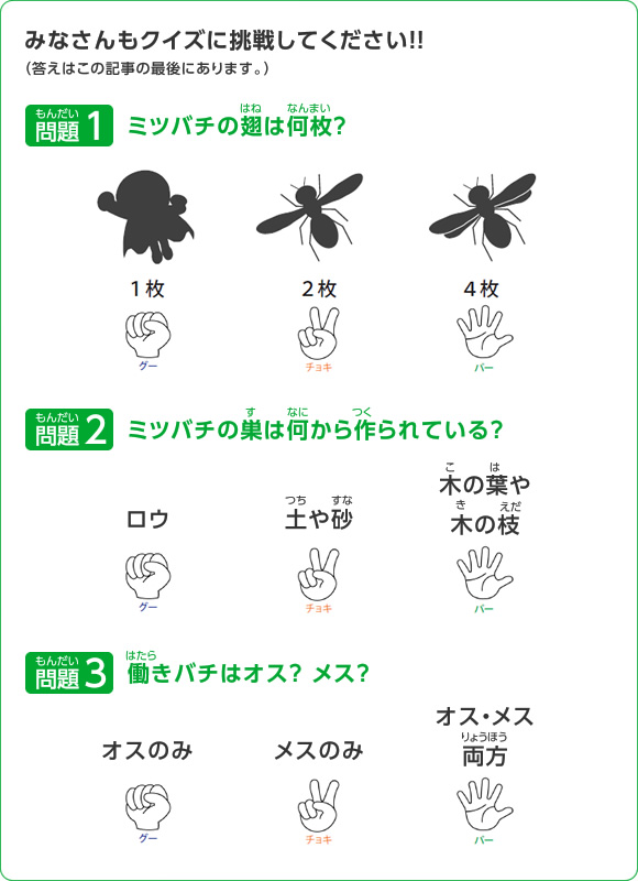 図：みなさんもクイズに挑戦してください！！