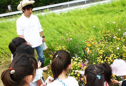 写真：5月実施　蜜源ウォーク：花に触れて花粉の色を確認しています。