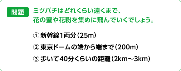 問題：ミツバチはどれくらい遠くまで、花の蜜や花粉を集めに飛んでいくでしょう。