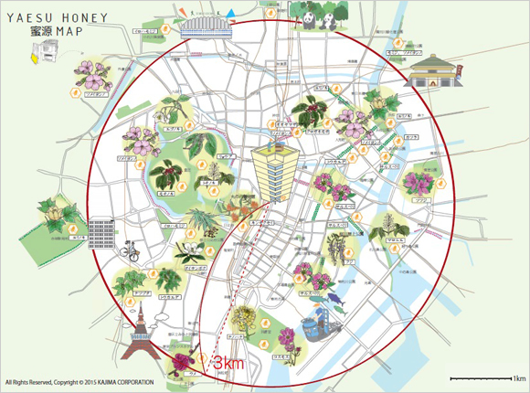 図版：YAESU HONEY 蜜原MAP