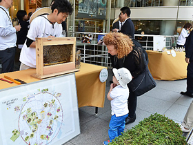 写真：巣箱見学の様子