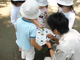 写真：「葉っぱでビンゴ」の様子