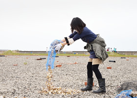 写真：各営巣地に割り当てられた貝殻の袋を配布し、人力で散布します