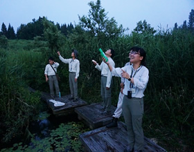 写真：コウモリ観察会