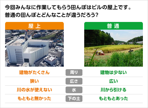 図版：屋上の田んぼと普通の田んぼの違いについて