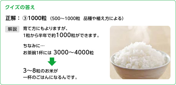 図版：クイズの答え