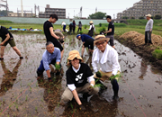 写真：田植え中