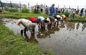 写真：地域の温熱環境の改善