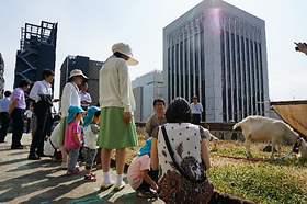 写真：五感を刺激