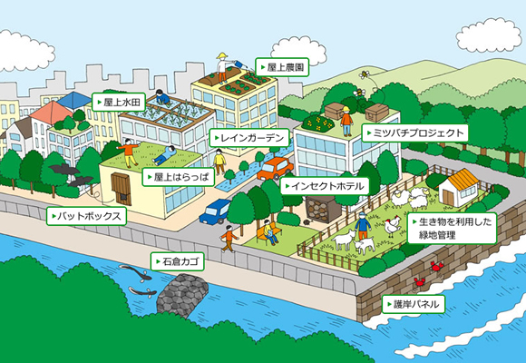 図版：グリーンインフラに関する運用・管理技術（ソフト技術）