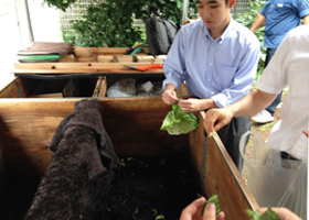 写真：料理愛好会からもらった野菜くずを投入