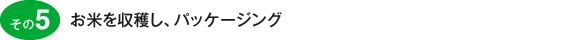 その5　お米を収穫し、パッケージング