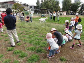 写真：近隣の子供たちに見守られながら、早速除草開始です