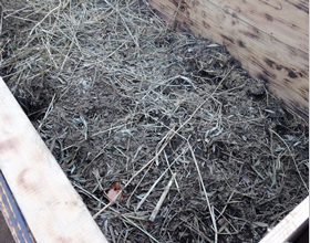 写真：ヒツジ糞を混ぜた堆肥