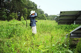 写真：植生調査