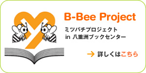 B-Bee Project