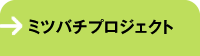 ミツバチプロジェクト