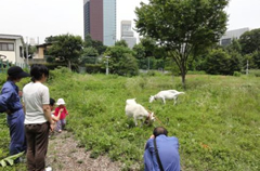 図版：港区公園