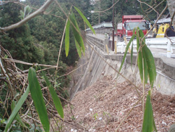 宝山寺資料室によると、寺の敷地内で高さ8ｍもの石垣があるのはここだけなので、たぶんこの場所ではないかとのこと。現在はコンクリートで固められている斜面は20ｍほど続く。駐車場整備工事中だったがガードレール脇の灯篭に寺の敷地らしさが見える。