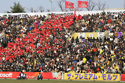 現在の秩父宮ラグビー場での試合の様子　提供：日本ラグビーフットボール協会