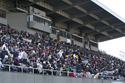 現在の秩父宮ラグビー場での試合の様子　提供：日本ラグビーフットボール協会